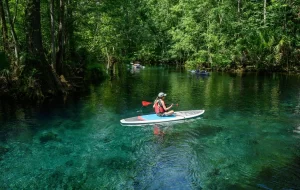 Cool Water and a Slow Pace on Florida’s ‘Spring Runs’